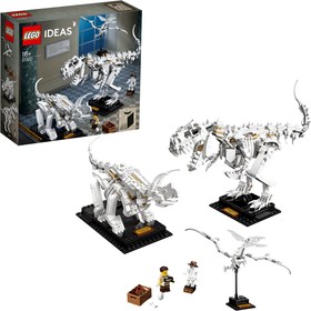 LEGO® Ideas - CUUSOO 21320 - Dinoszaurusz maradványok