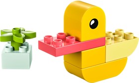 LEGO® DUPLO® 30673 - Első kacsám