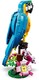 LEGO® Creator 3-in-1 31136 - Egzotikus papagáj