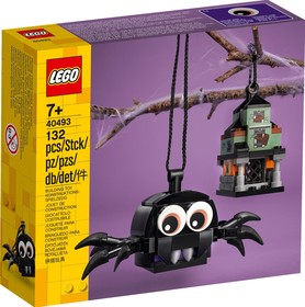 LEGO® Seasonal 40493 - Pók és Kísértetkastély csomag