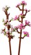LEGO® Seasonal 40725 - Cseresznyevirágok