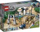 LEGO® Jurassic World 75937 - Triceratops tombolás