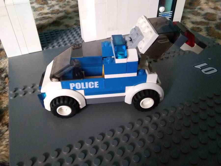 Otthoni rendőrség