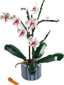 LEGO® ICONS 10311 - Orchidea