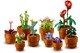 LEGO® ICONS 10329 - Apró cserepes növények