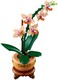 LEGO® ICONS 10343 - Mini orchidea