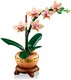 LEGO® ICONS 10343 - Mini orchidea