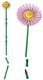 LEGO® Botanicals 10347 - Napsárga virágcsokor