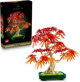 Vöröslevelű japán juhar bonsai