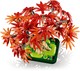 LEGO® Botanicals 10348 - Vöröslevelű japán juhar bonsai