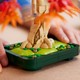 LEGO® Botanicals 10348 - Vöröslevelű japán juhar bonsai