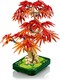 LEGO® Botanicals 10348 - Vöröslevelű japán juhar bonsai