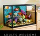 LEGO® ICONS 10366 - Trópusi akvárium