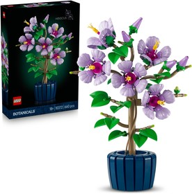 Hibiszkusz