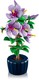 LEGO® Botanicals 10372 - Hibiszkusz