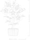 LEGO® Botanicals 10372 - Hibiszkusz