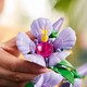 LEGO® Botanicals 10372 - Hibiszkusz