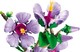 LEGO® Botanicals 10372 - Hibiszkusz