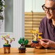 LEGO® Botanicals 10373 - Mini bonsai fák