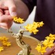 LEGO® Botanicals 10373 - Mini bonsai fák