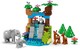 LEGO® DUPLO® 10446 - 3 az 1-ben állatcsaládok a vadvilágban