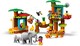 LEGO® DUPLO® 10906 - Trópusi sziget