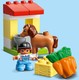 LEGO® DUPLO® 10951 - Lóistálló és pónigondozás