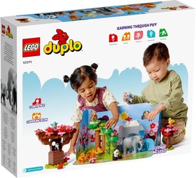 LEGO® DUPLO® 10974 - Ázsia vadállatai