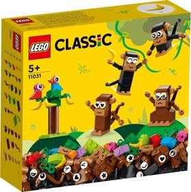 LEGO® Elemek és egyebek 11031 - Kreatív majommóka
