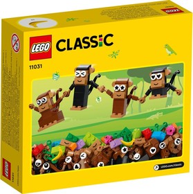 LEGO® Elemek és egyebek 11031 - Kreatív majommóka