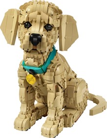 LEGO® ICONS 11384 - Golden retriever kutyus