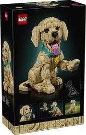 LEGO® ICONS 11384 - Golden retriever kutyus