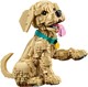 LEGO® ICONS 11384 - Golden retriever kutyus