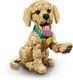 LEGO® ICONS 11384 - Golden retriever kutyus