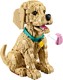 LEGO® ICONS 11384 - Golden retriever kutyus