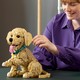 LEGO® ICONS 11384 - Golden retriever kutyus