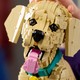 LEGO® ICONS 11384 - Golden retriever kutyus