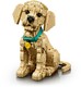 LEGO® ICONS 11384 - Golden retriever kutyus
