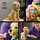 LEGO® ICONS 11384 - Golden retriever kutyus