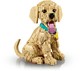 LEGO® ICONS 11384 - Golden retriever kutyus