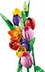 LEGO® Botanicals 11501 - Tulipáncsokor
