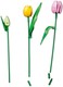 LEGO® Botanicals 11501 - Tulipáncsokor