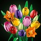 LEGO® Botanicals 11501 - Tulipáncsokor