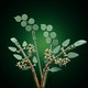 LEGO® Botanicals 11502 - Napraforgócsokor