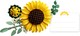 LEGO® Botanicals 11502 - Napraforgócsokor