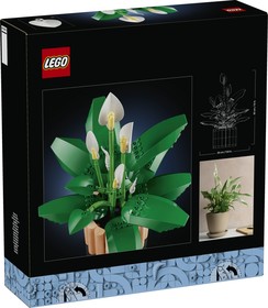 LEGO® Botanicals 11504 - Vitorlavirág