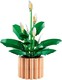 LEGO® Botanicals 11504 - Vitorlavirág
