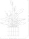 LEGO® Botanicals 11504 - Vitorlavirág