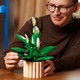LEGO® Botanicals 11504 - Vitorlavirág