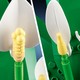 LEGO® Botanicals 11504 - Vitorlavirág